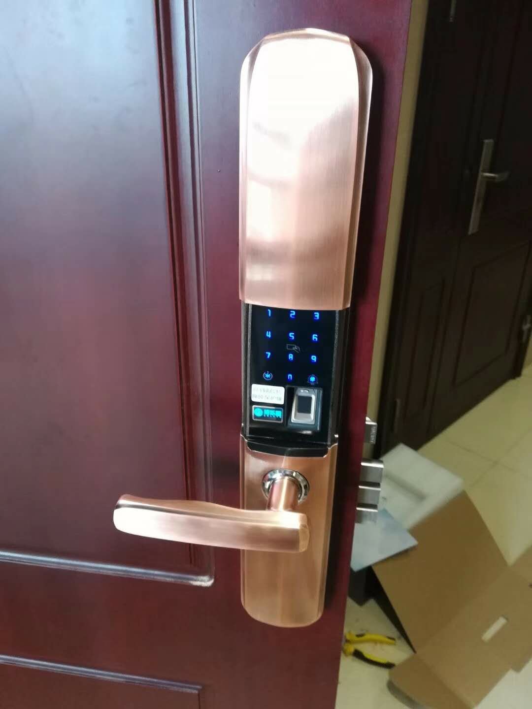 智能云锁指纹锁